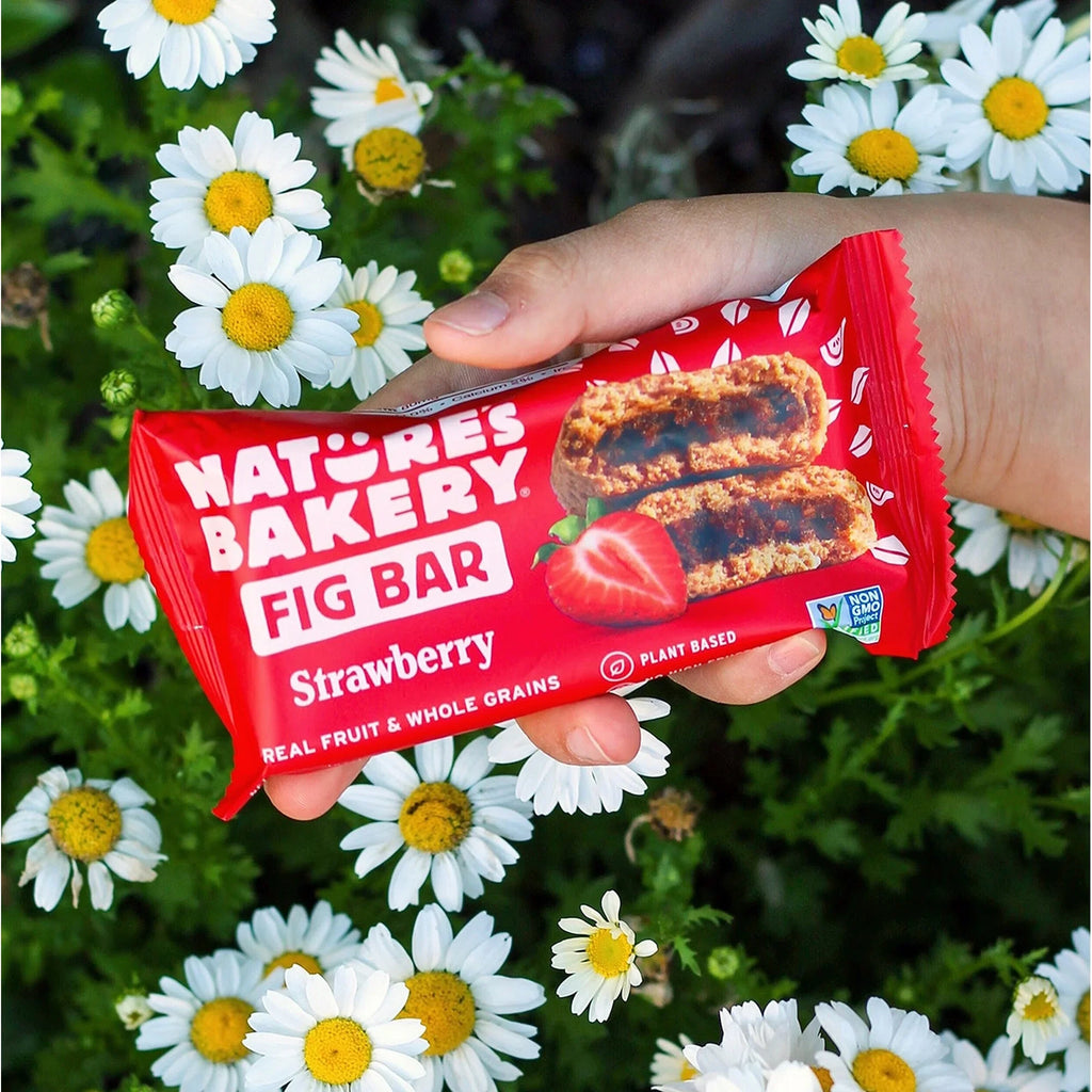 Nature’s Bakery Whole Wheat Strawberry Fig Bars Kosher 10 Twin Packs, 20 oz