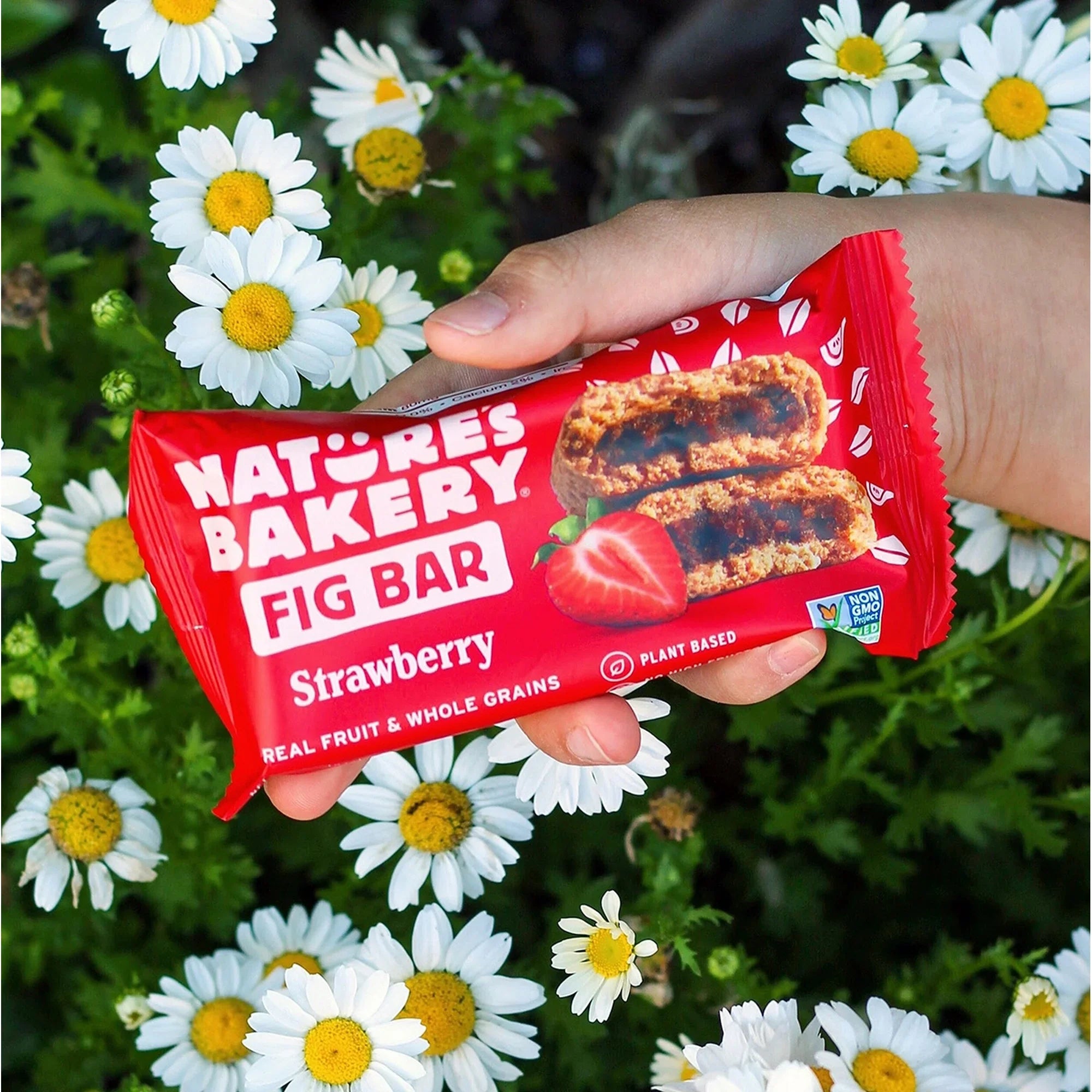 Nature’s Bakery Whole Wheat Strawberry Fig Bars Kosher 10 Twin Packs, 20 oz